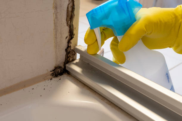 Best Biohazard Mold Removal  in Youngstown, OH