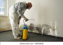 Best Mold Prevention Services  in Youngstown, OH